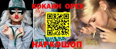 Альфа ПВП Дубна