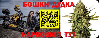 Альфа ПВП Дубна