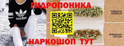 spice Донецк