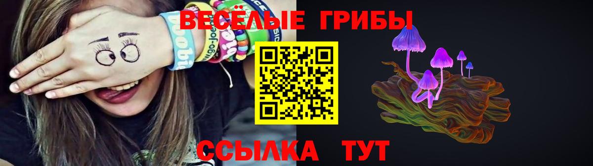 Волхов  Псилоцибиновые грибы Cubensis  Вход с VPN 